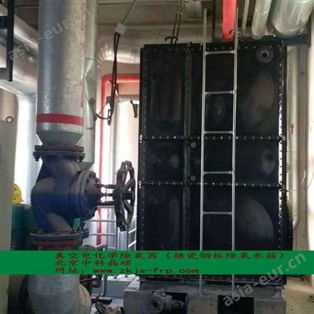 中科晶硕 专业制造 锅炉补给水除氧 真空电化学 联合除氧器