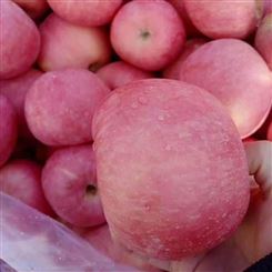  冷库红富士苹果 水果批发 新鲜采摘当季北方果